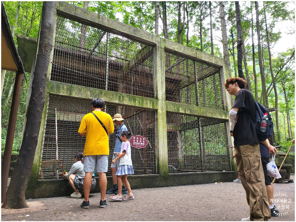 장가계 무릉원 풍경구 십리화랑