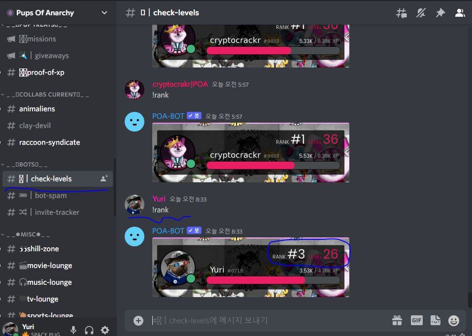 디스코드-레벨 확인