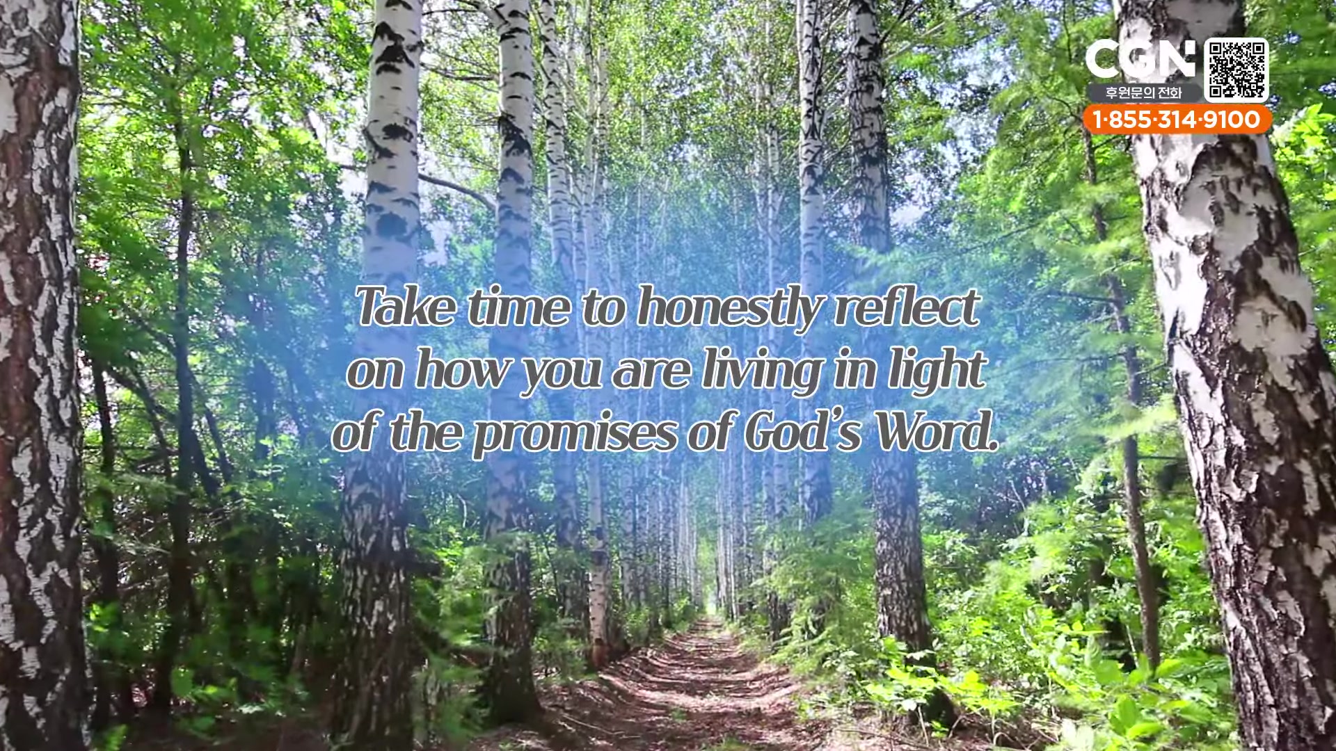 Take time to honestly reflect on how you are living in light of the promises of God’s Word.