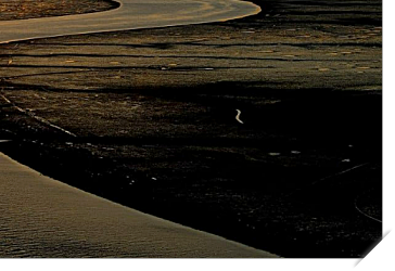 2024 순천만 갈대축제 입장료, 일정 및 프로그램 사전예약