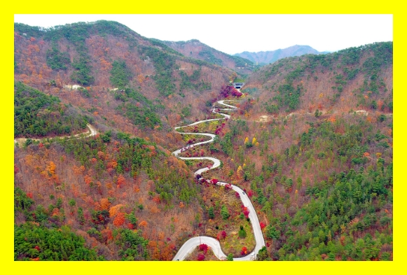 국립휴양림 캠핑요금&amp;#44; 자연휴양림 전기시설&amp;#44; 자연휴양림 주차정보&amp;#44; 숲속 숙소 예약&amp;#44; 자연휴양림 공사안내&amp;#44; 국립휴양림 휴무일