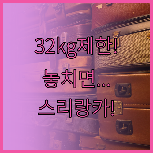 스리랑카항공 위탁수하물, 가방 한 개..