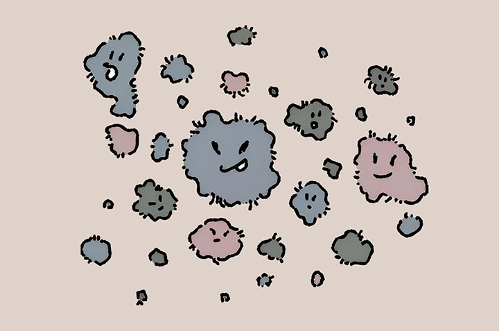 곰팡이가-서식하는-모습