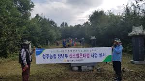 벌초대행 가격비교