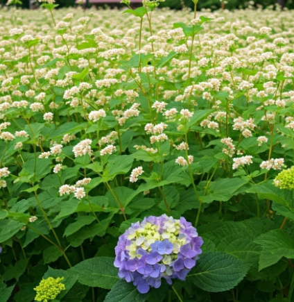 5월 제주도 연휴, 꼭 가봐야 할 명소와 축제