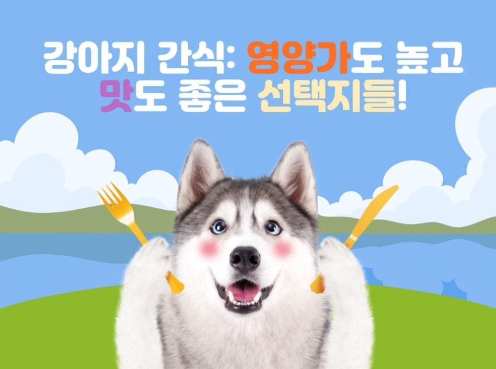 강아지 간식
