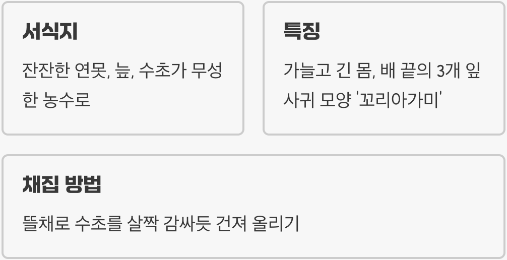 물속의 작은 요정, 유충과의 첫 만남