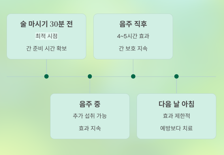직장인을 위한 과학적 숙취 관리 완벽 가이드