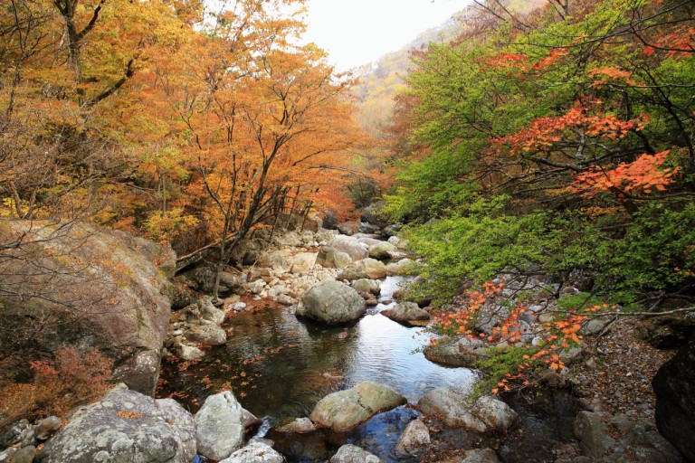 지리산 단풍시기