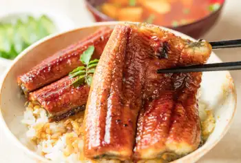 민물장어 가격 및 효능&amp;#44; 영양성분