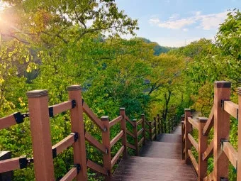 영천 가볼만한곳 맛집 카페 추천 여름 사진 명소_10
