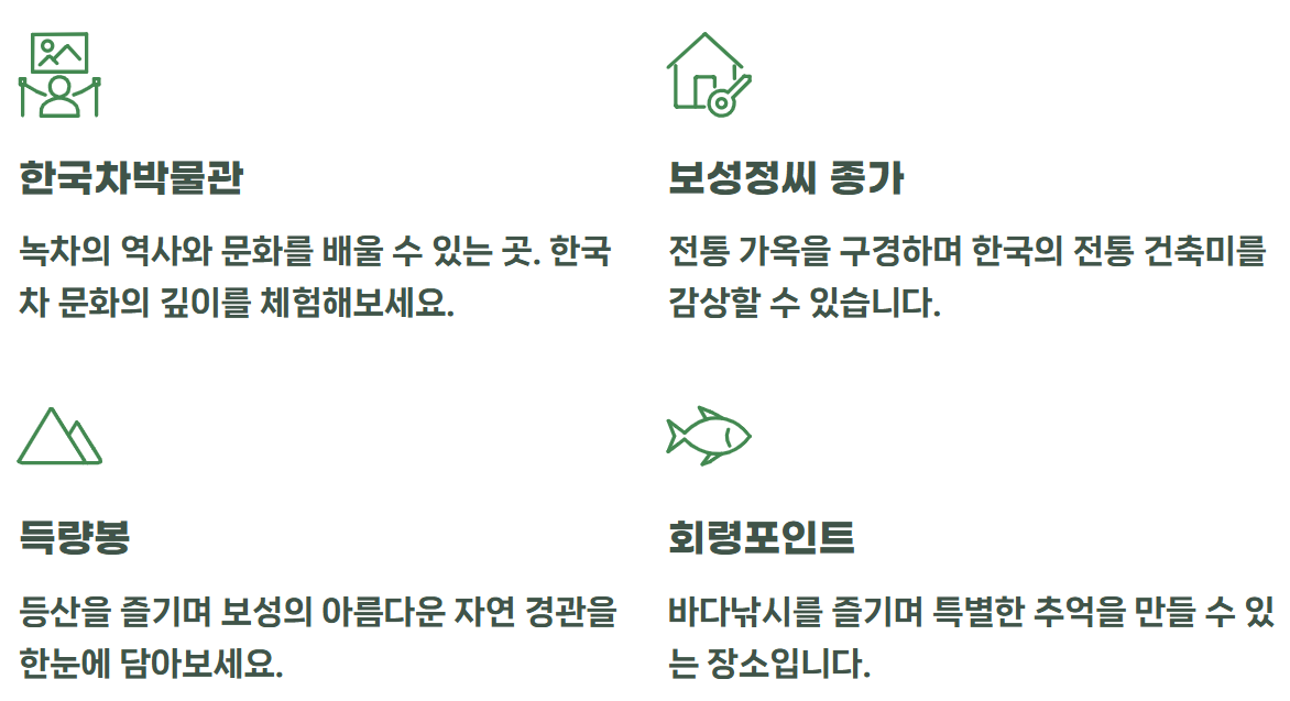 보성 녹차밭 대한다원 여행