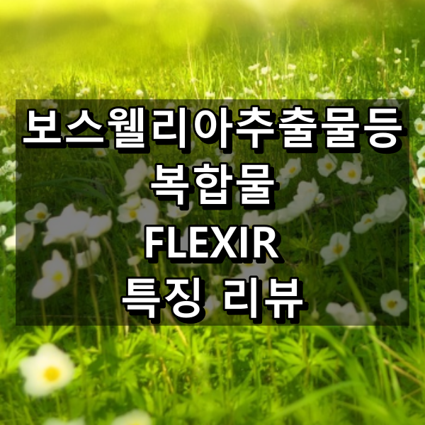 보스웰리아추출물등 복합물(Flexir) 대표 이미지