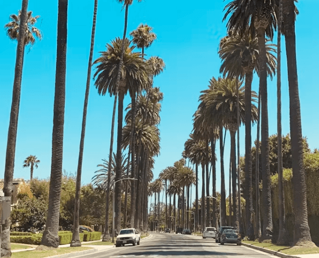 미국 렌터카 예약부터 보험까지 완벽 가이드