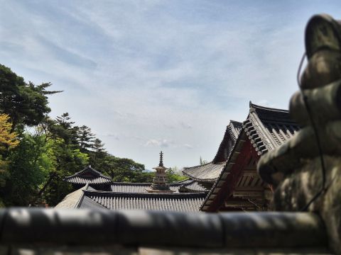 불국사 경내에서 바라다본 다보탑 머리와 기와