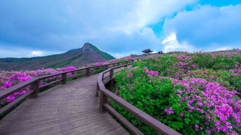 산청 가볼만한곳 베스트 10