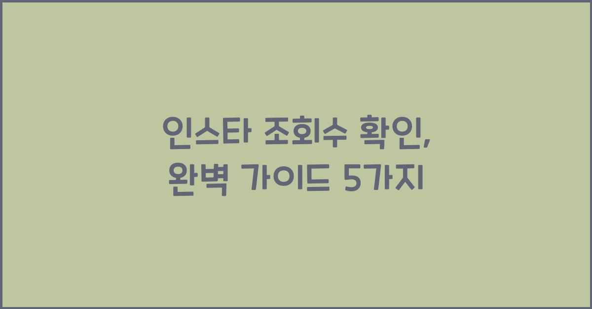 인스타 조회수 확인