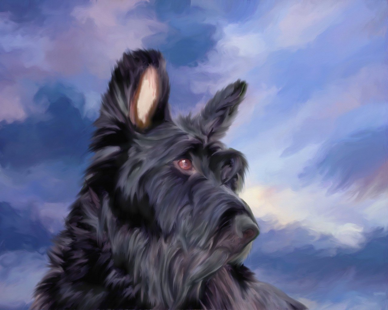 스코티시 테리어(Scottish Terrier)