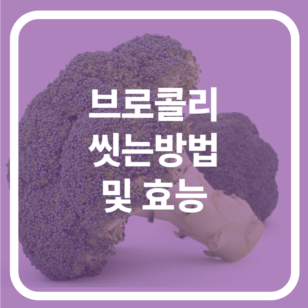 브로콜리 씻는방법 및 효능