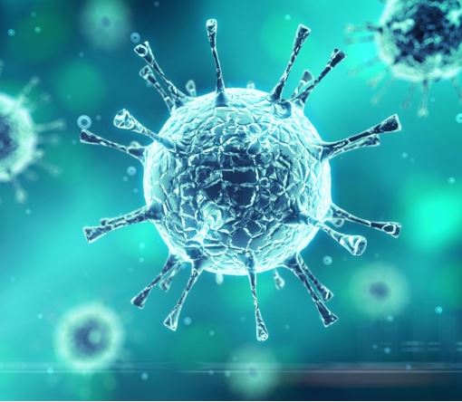 독감-바이러스-현미경-확대-사진