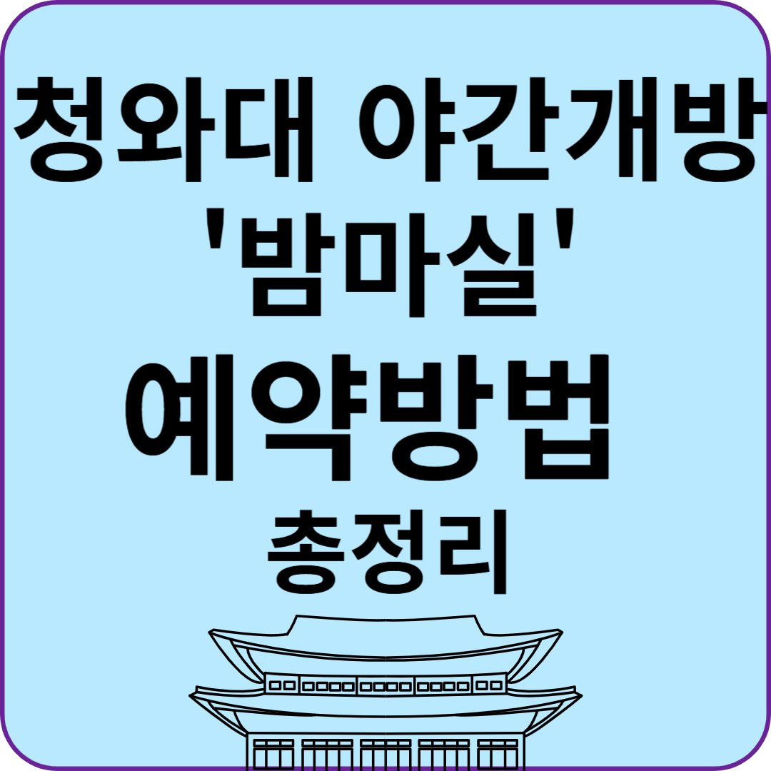청와대 야간개방