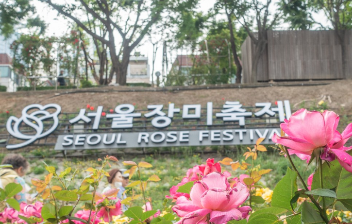 2023.서울 중랑구 장미축제.일정.주차.추천코스.맛집.2023안내.총정리