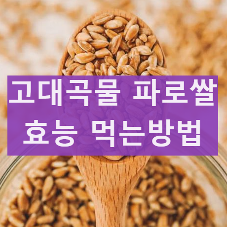 파로쌀 파로밀 파로밥 효능 및 부작용 먹는방법