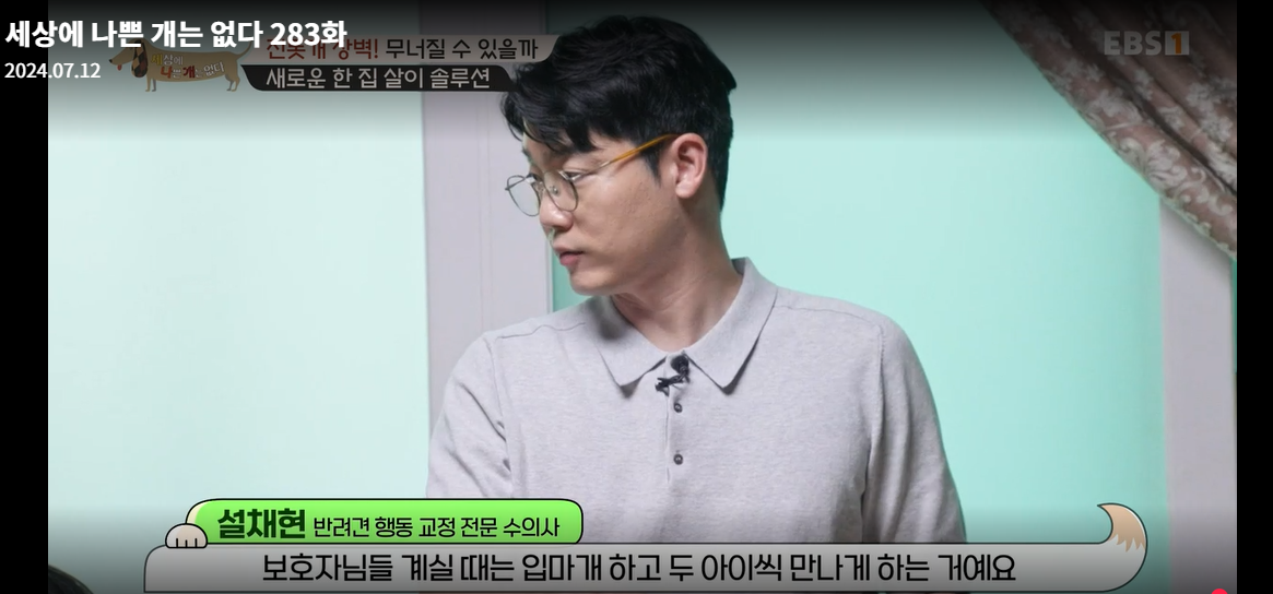 설채현-세상에나쁜개는없다-세나개-283화-진돗개장벽-재방송