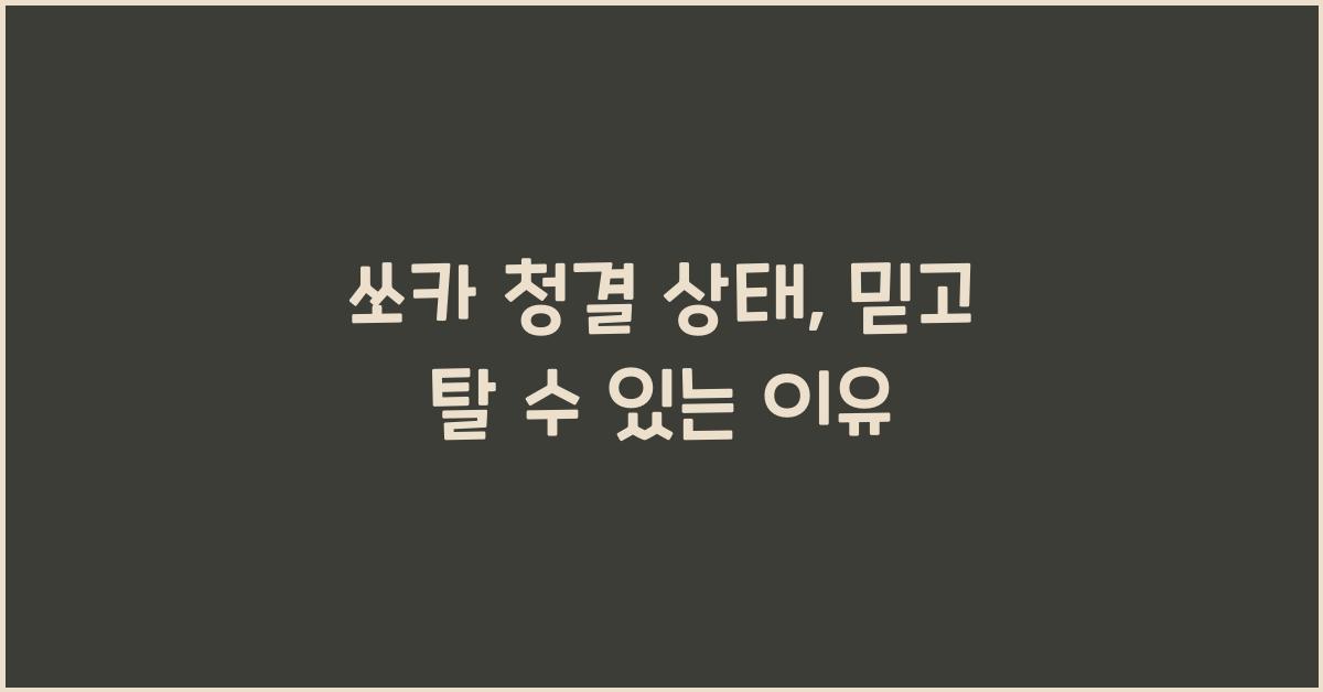 쏘카 청결 상태