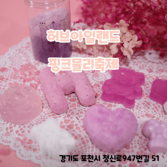 허브아일랜드 핑크뮬리축제