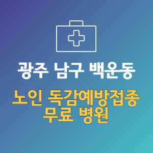광주 남구 백운동 노인 독감예방접종 무료 병원 (인플루엔자 무료 접종 대상 날짜)