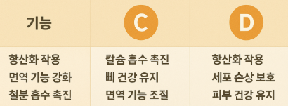 비타미 C, D 기능 안내 사진