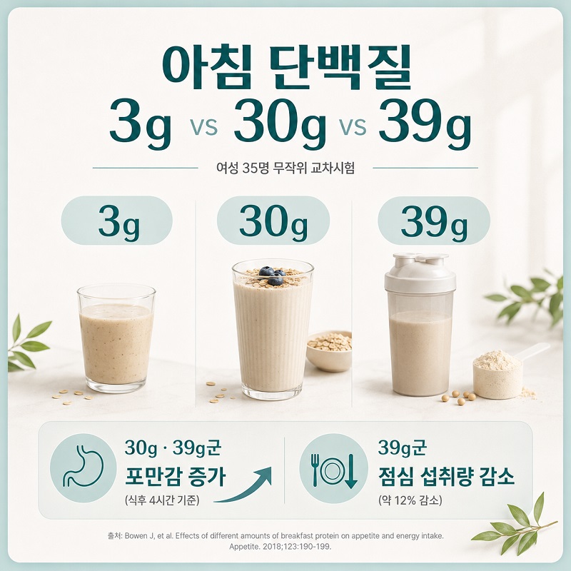 아침 점심 저녁 식사에 단백질 식품을 나누어 배치한 하루 식사 구성