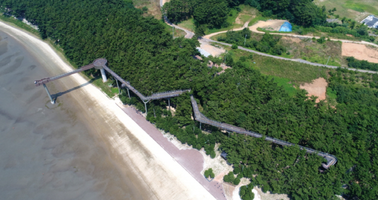 장항송림산림욕장 장항스카이워크