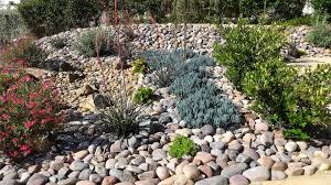 제리스케이핑: 건조 기후에 맞는 현실적인 정원 만들기