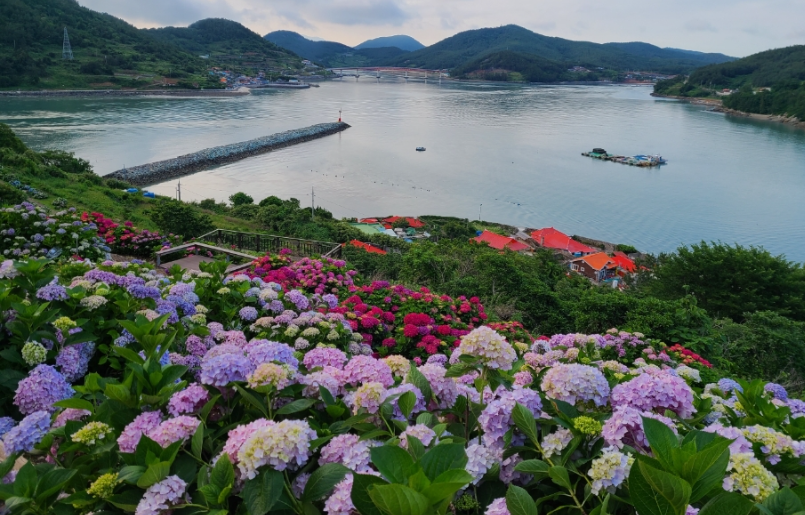 힐링파크 쑥섬쑥섬