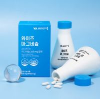 비타민마을 와이즈 마그네슘 72g, 90정, 1개