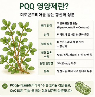 pqq영양제-효과-종류-추천-제품-뜻-부작용