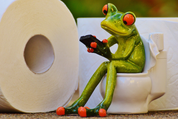 변비에 효과적인 키위 + 요거트 스무디 레시피