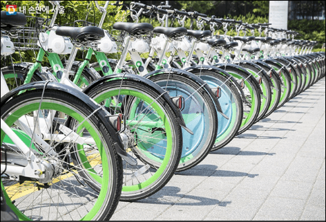 서울-따릉이-부산은뭐지-전국공공자전거지도-교통비-아끼는-꿀팁-안내-생활운동-다이어트
