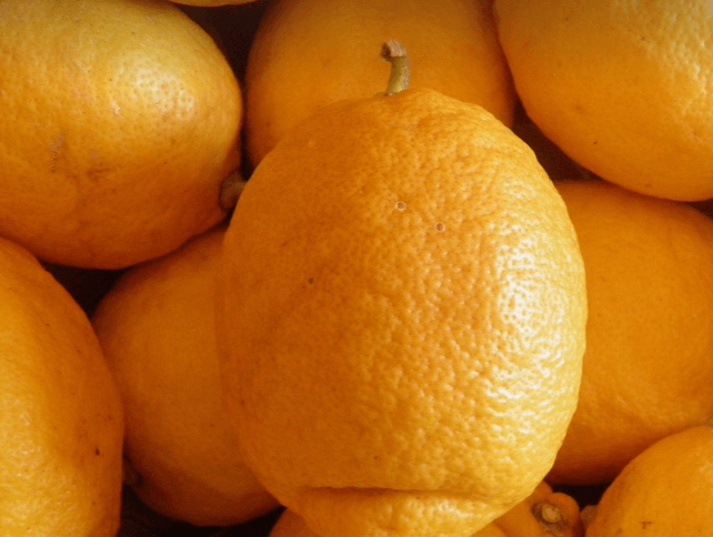 기미에 좋은음식