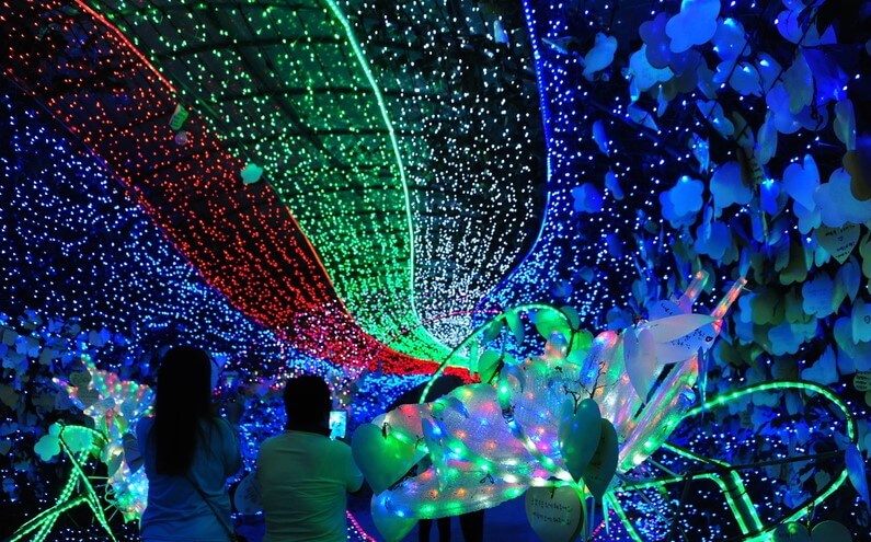 태안 빛축제는 365일 연중무휴로 진행하고 있습니다. 충청남도 최초로 화려하게 조명으로 야간 볼거리를 제공하고 있습니다.