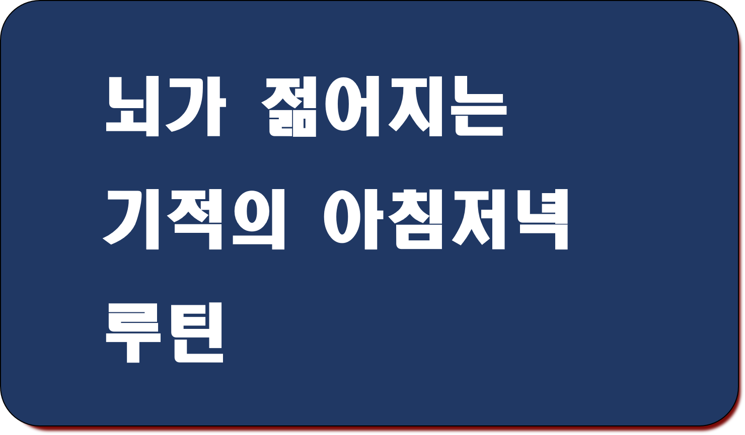 뇌가 젊어지는 기적의 아침저녁 루틴