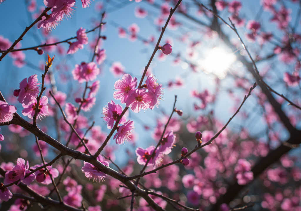 MBTI별 감정의 대처 방법