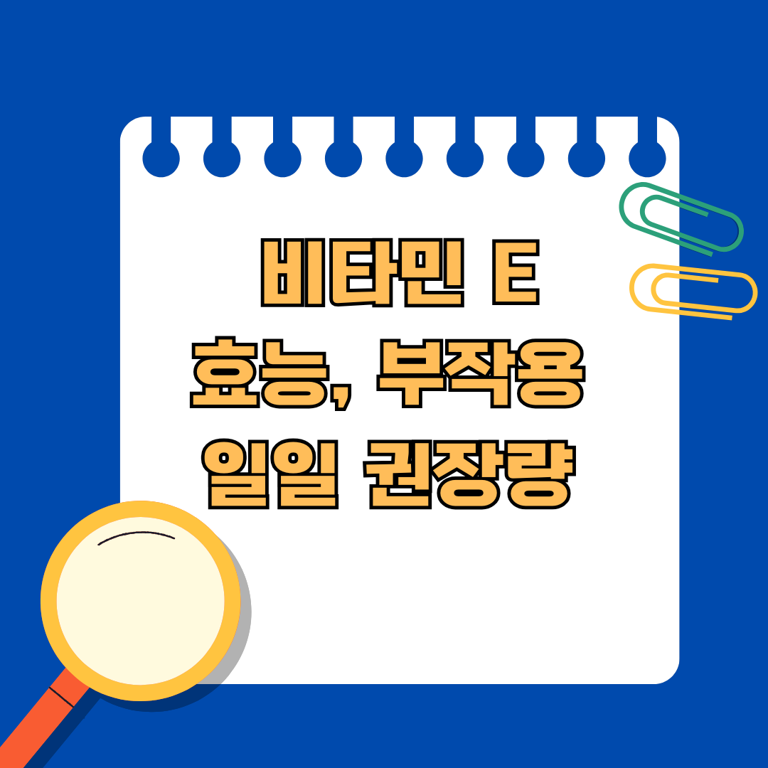 노화방지에 탁월한 비타민 E ! 효능, 부작용, 일일권장량 완벽정리