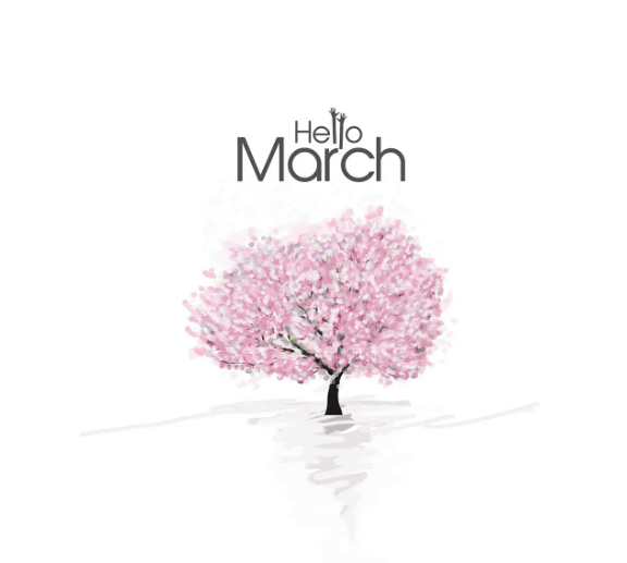 제주도 1박2일 봄 여행 - 도민 추천 숨은 명소 총정리