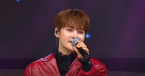 건배 - 박서진