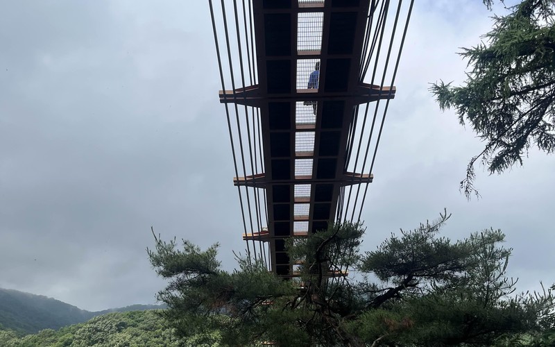 파주 산책하기 좋은 마장호수 출렁다리 둘레길 소요시간 주차비 대중교통 총