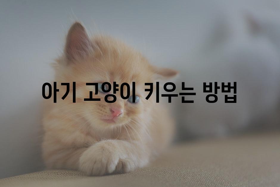 Kittens 3