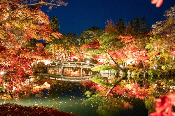 도쿄 에이칸도젠린지 단풍전경사진